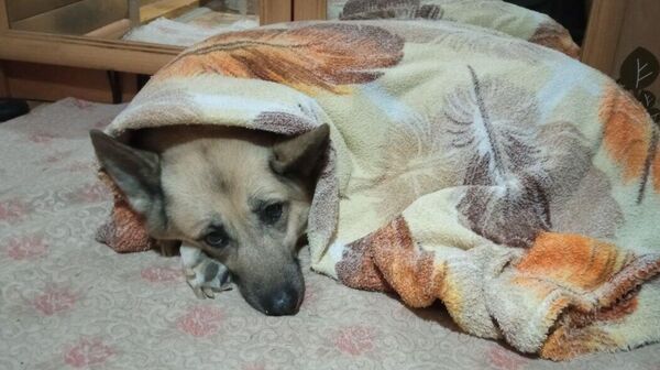 Отопительный сезон