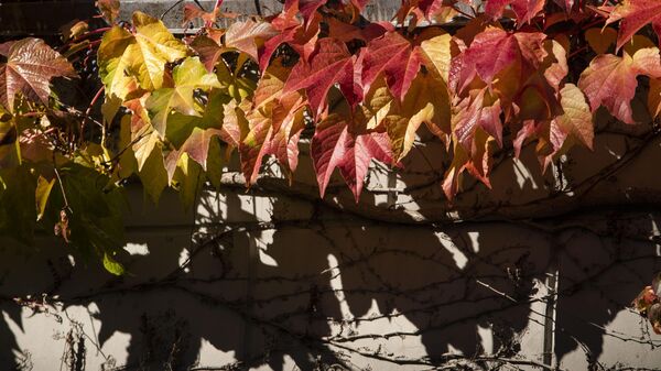 Осень на южном берегу Крыма