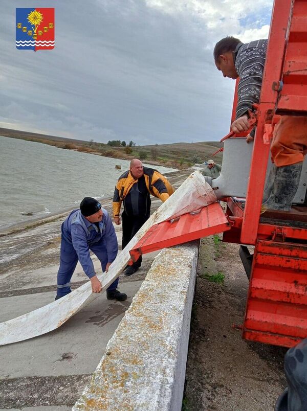 Больше 50 тысяч мальков белого толстолобика выпустили в Крыму