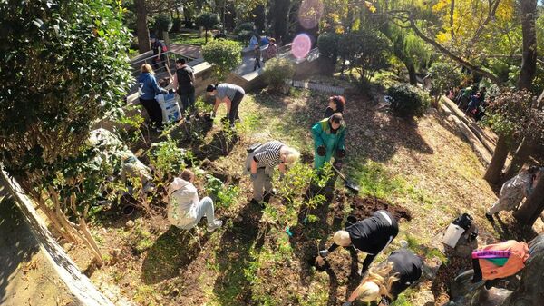 Акция Чистый Крым в Большой Ялте