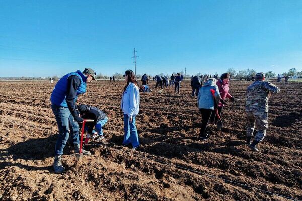 Акция Чистый Крым