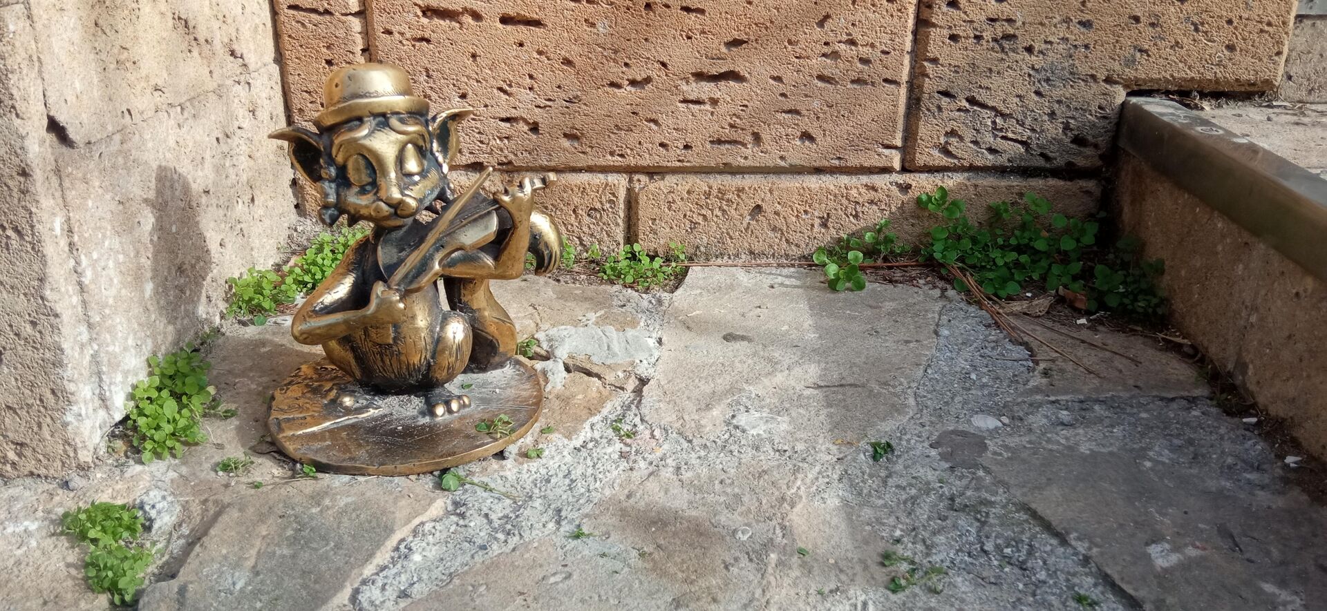 Евпаторийские коты - РИА Новости, 1920, 03.11.2025