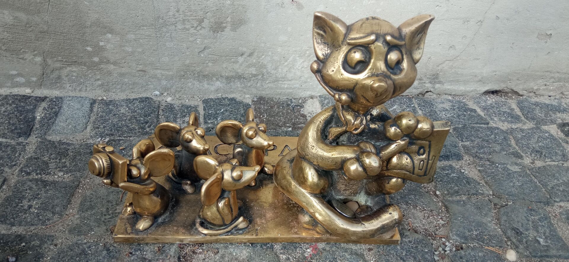 Евпаторийские коты - РИА Новости, 1920, 03.11.2025