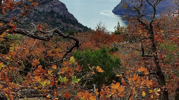 В Крыму фотограф Лев Архипов проводит бесплатные экскурсии для ветеранов СВО в Новом Свете