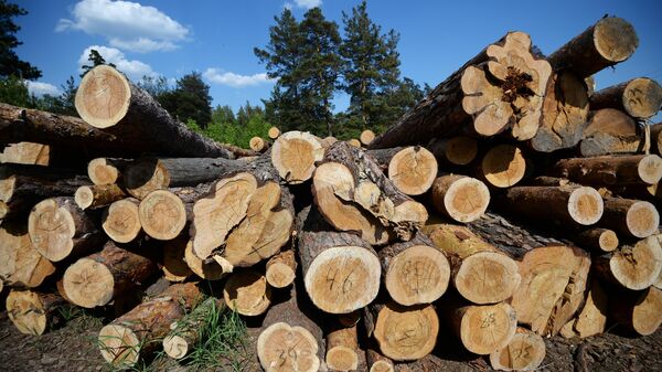 Лесоматериалы