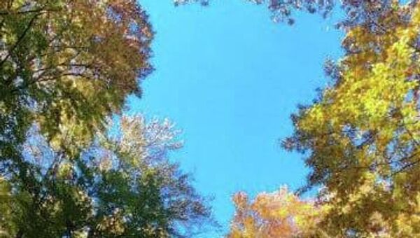 Осень в Крыму