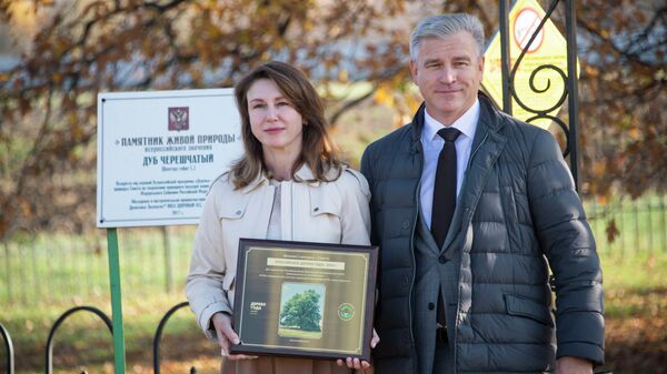 Суворовский дуб вошёл в тройку победителей конкурса Российское дерево года Суворовский дуб вошёл в тройку победителей конкурса Российское дерево года