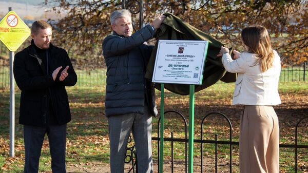 Суворовский дуб вошёл в тройку победителей конкурса Российское дерево года Суворовский дуб вошёл в тройку победителей конкурса Российское дерево года