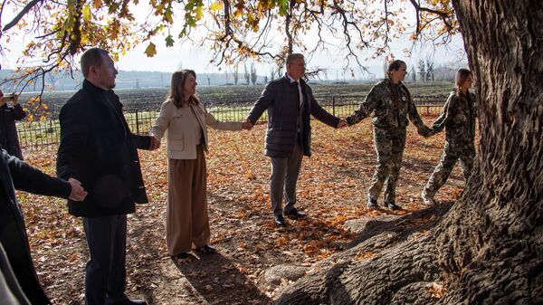 Суворовский дуб вошёл в тройку победителей конкурса Российское дерево года Суворовский дуб вошёл в тройку победителей конкурса Российское дерево года