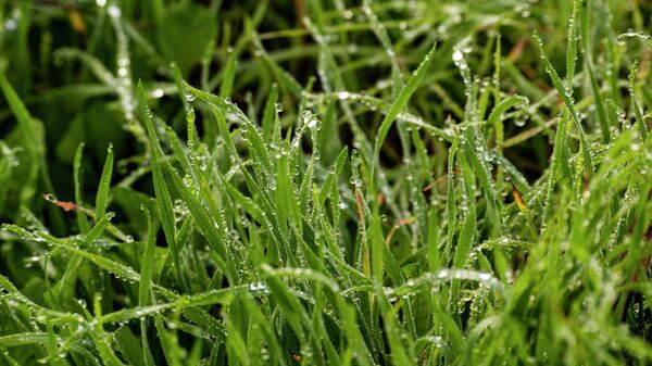 В осеннем лесу