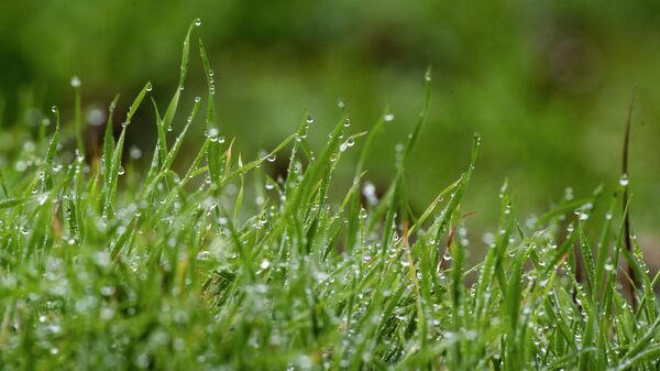 В осеннем лесу