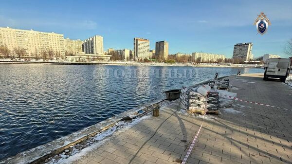 В Москве нашли в пруду рюкзак с частями тела ребенка