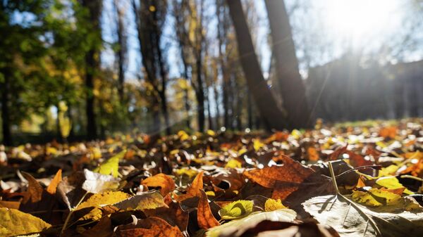 Крымская осень