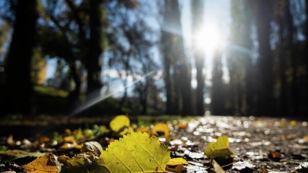 Крымская осень