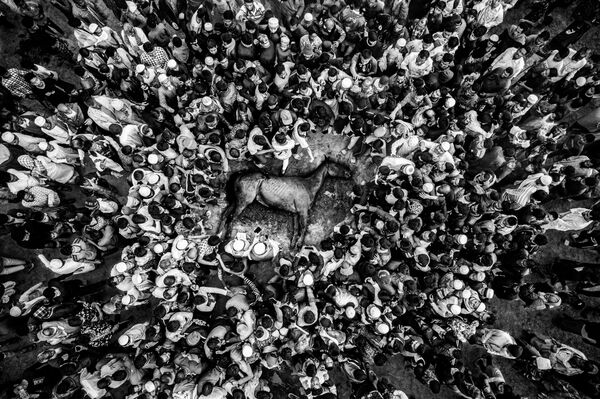 Последний забег: падение чемпиона