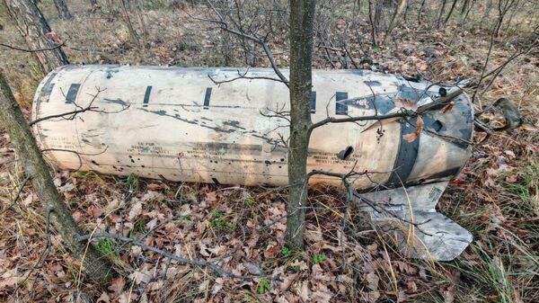 Обломки уничтоженных над  Воронежем ракет ATACMS