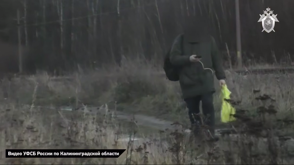 В Калининградской области несовершеннолетнему предъявлено обвинение в покушении на террористический акт