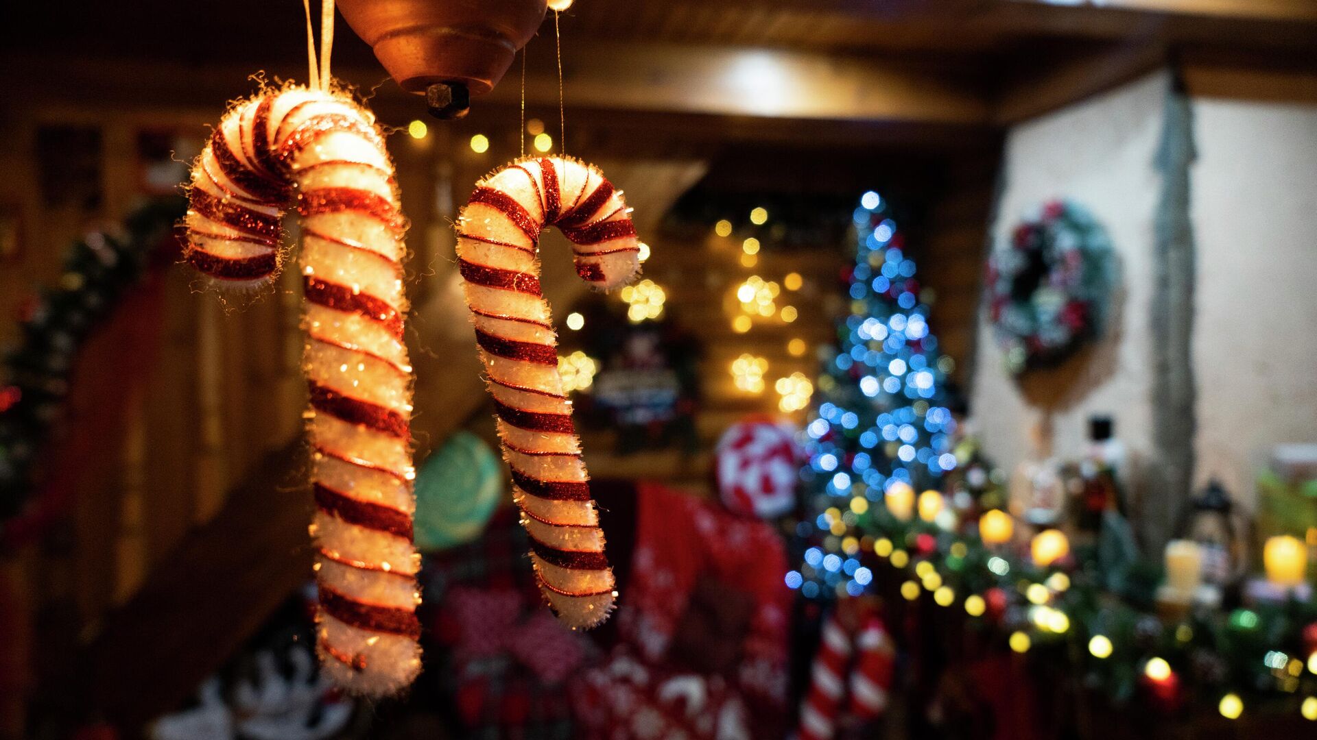 Новый год в Крыму - РИА Новости, 1920, 01.12.2025