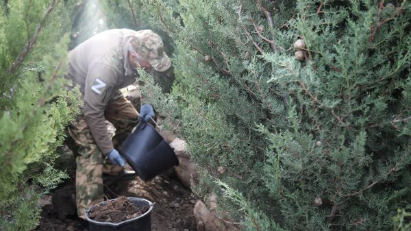 В Алуште на Аллее Героев высадили кипарисы 