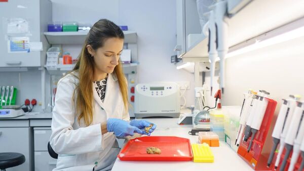 Институт биологии южных морей в Севастополе