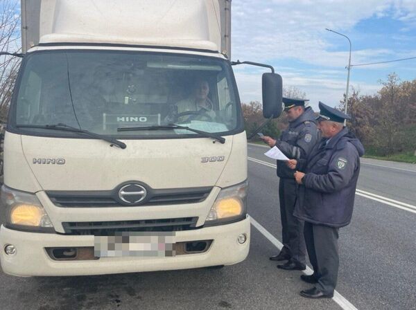 В Крым пытались ввезти более 300 кг небезопасной мясной продукции