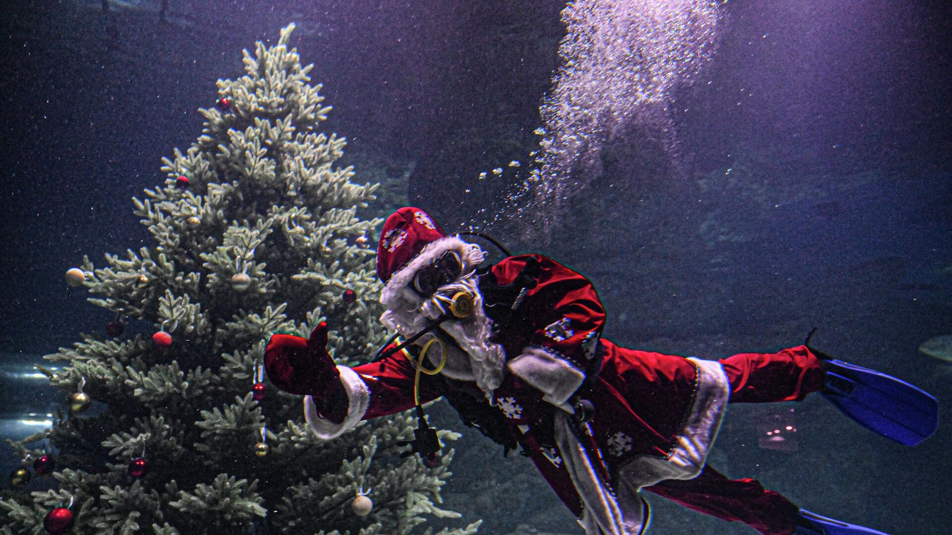 Дайвер в костюме Деда Мороза погрузился в главный морской аквариум Москвариума на ВДНХ Дайвер в костюме Деда Мороза погрузился в главный морской аквариум Москвариума на ВДНХ - РИА Новости, 1920, 14.12.2025