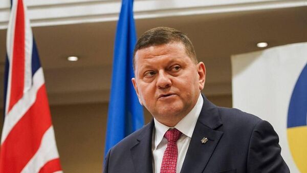 Посол Украины в Великобритании Валерий Залужный