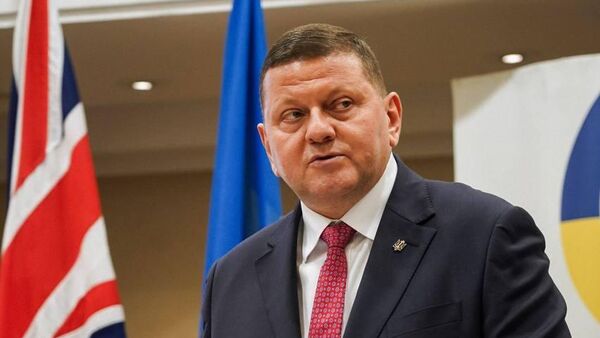 Посол Украины в Великобритании Валерий Залужный