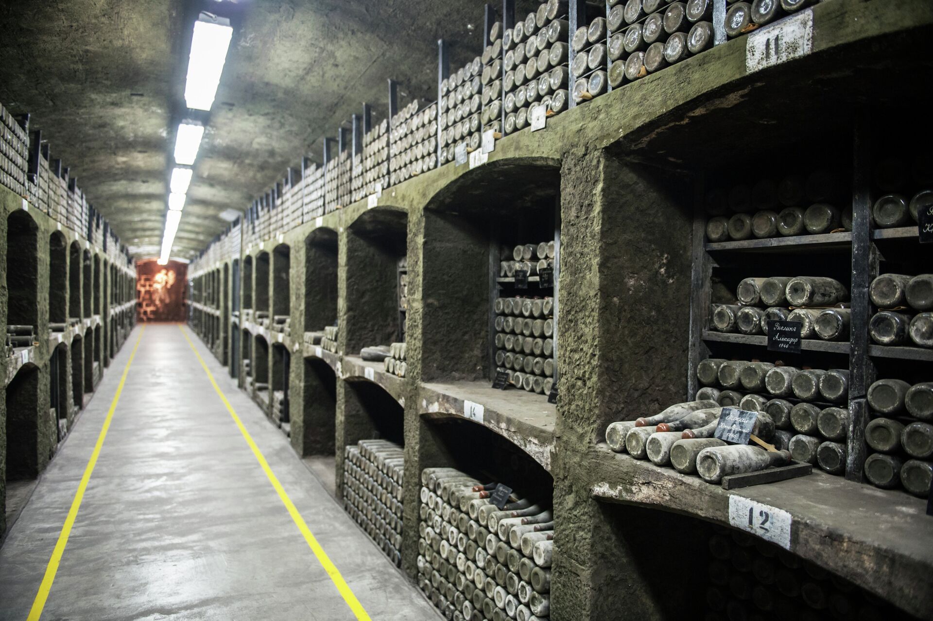 Винодельческий завод Массандра в Крыму - РИА Новости, 1920, 19.08.2025