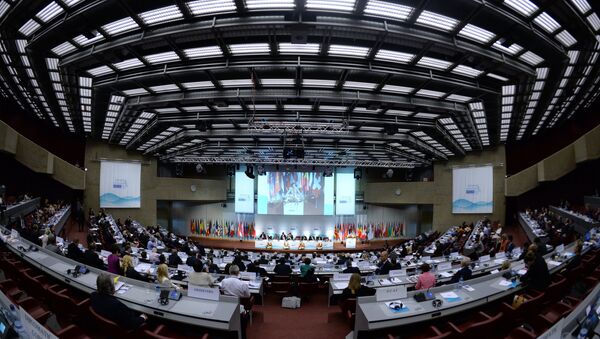 На открытии осенней сессии Парламентской ассамблеи Организации по безопасности и сотрудничеству в Европе (ОБСЕ) в Женеве. Архивное фото