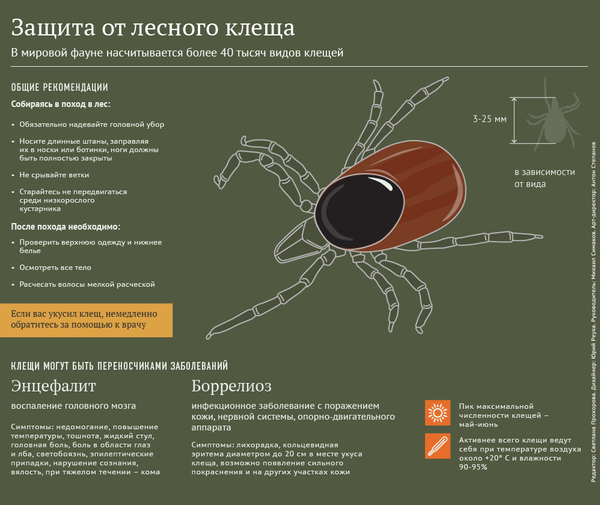 Защита от клещей Защита от клещей