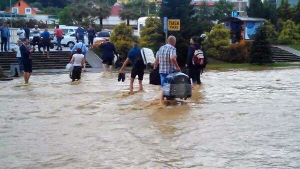 Пассажиры по колено в воде несли багаж из затопленного аэропорта Сочи