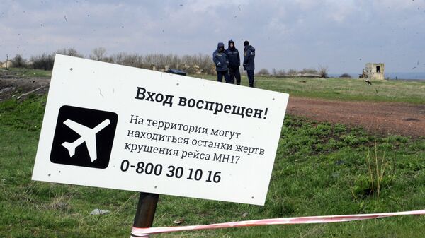 Эксперты из Нидерландов и Малайзии посетили место крушения Боинга в Донецкой области