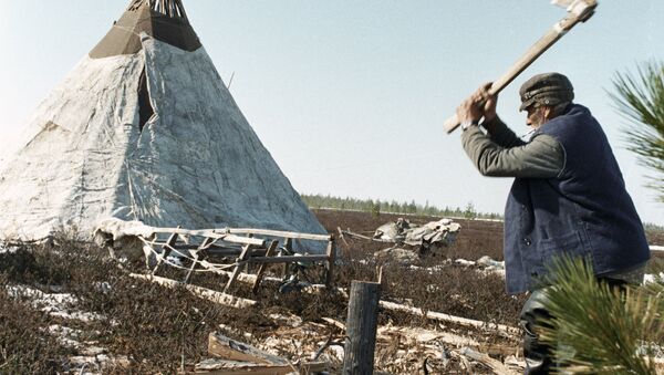 Потомственный оленевод Василий Попров колет дрова возле своего чума.