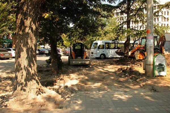 Власти Симферополя приняли решение спилить несколько деревьев около здания администрации города, мотивируя это тем, что в этом месте необходимо расширить проезжую часть и создать парковку.