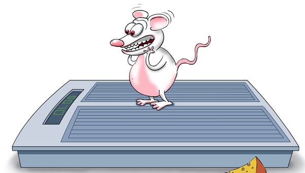 Почему мыши не толстеют