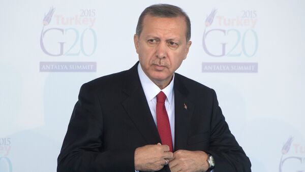 Президент Турции Тайип Эрдоган на открытии саммита Группы двадцати (G20) в турецкой Анталье