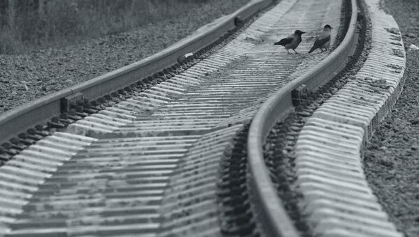 Железнодорожные рельсы. Архивное фото