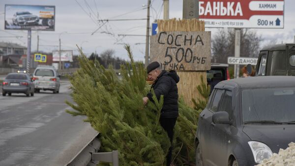 Новогодняя елка в Крыму: цена вопроса