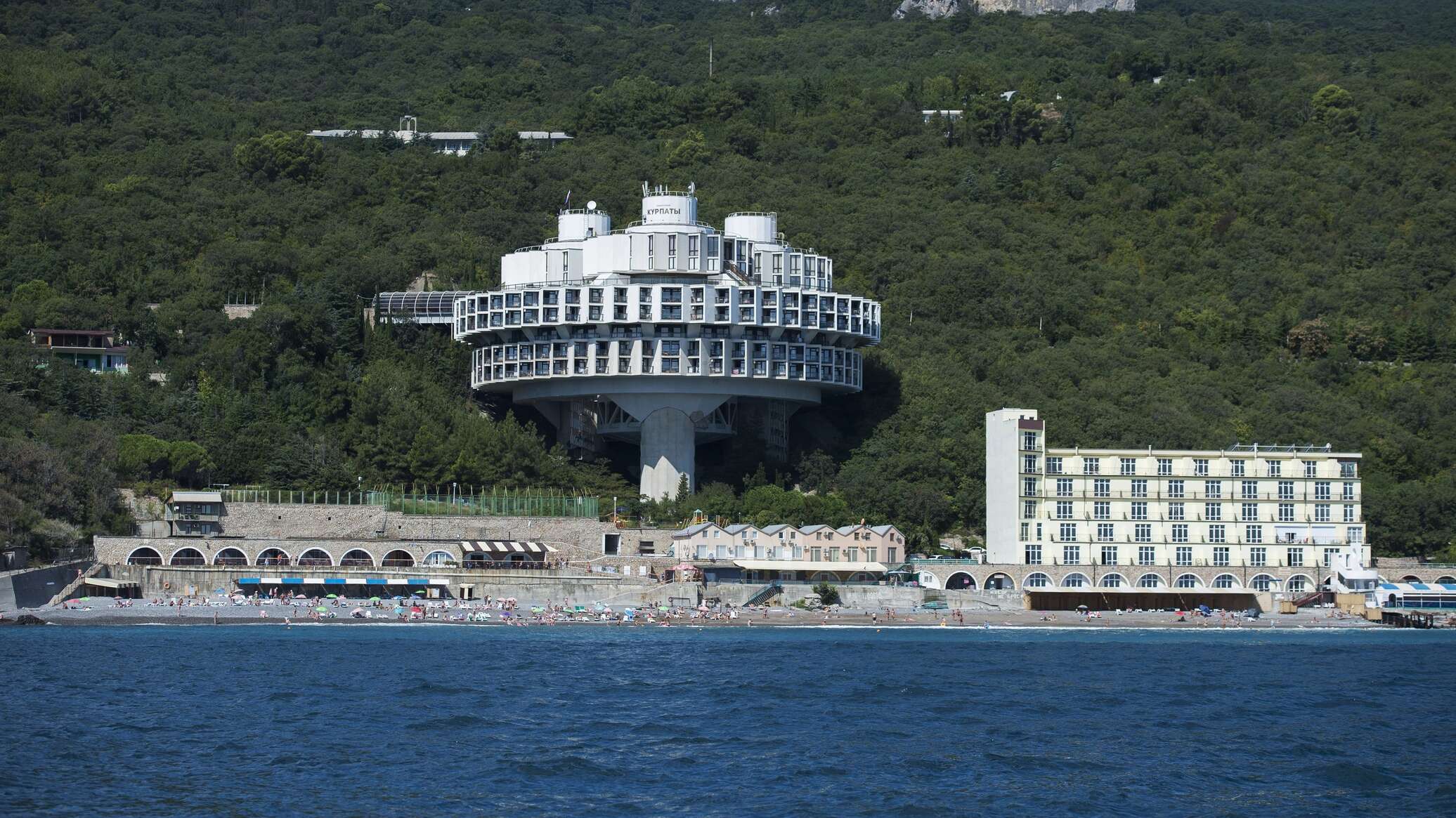 Санаторий Курпаты в Ялте: фото 2021 года Зеленая планета Фотогалерея природы на 