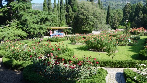 Никитский ботанический сад. Розы