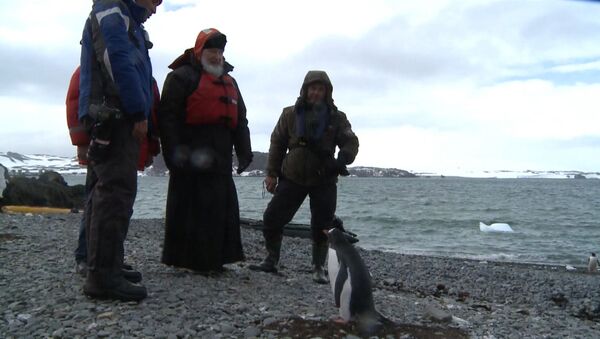 Патриарх Кирилл с полярниками погулял среди пингвинов по берегу Антарктиды
