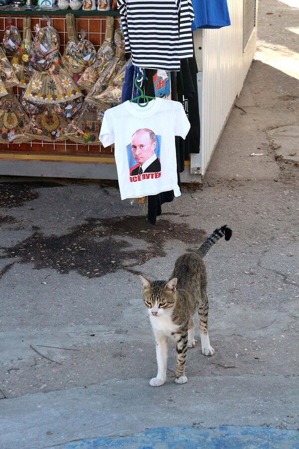 Кот на рынке в Севастополе