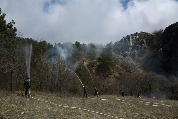Тренировка МЧС по тушению лесного пожара