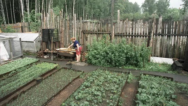 Дача