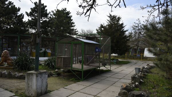 Зоопарк в детском парке Симферополя