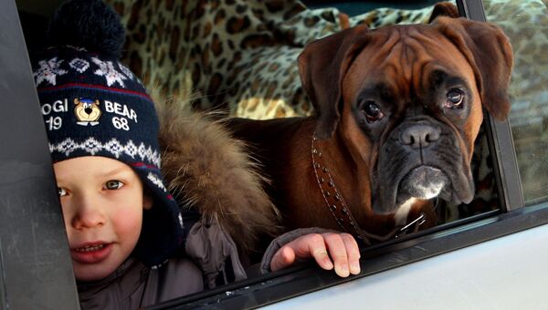 Ребенок и собака в машине
