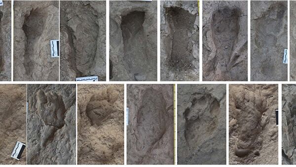Следы прямоходящих людей, оставленные на почве Кении 1,5 млн лет назад