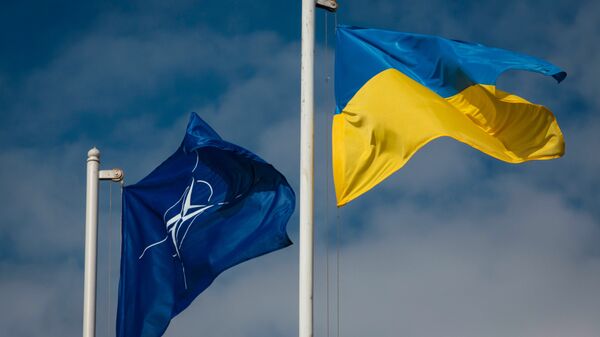 Национальный флаг Украины и флаг Организации Североатлантического договора (НАТО)