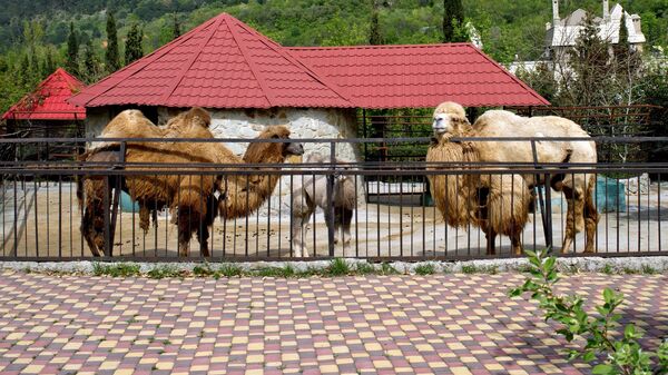 Зоопарк Сказка